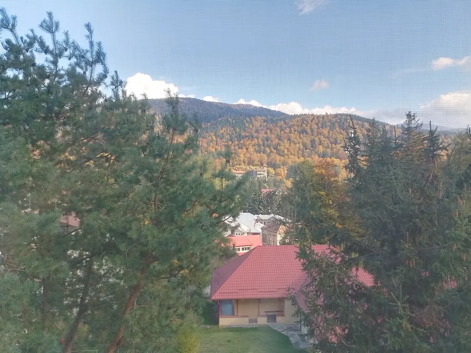 Vedere din camera de zi