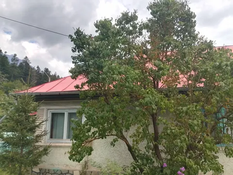 Curtea